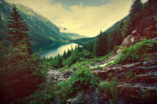 Lake in mountains.