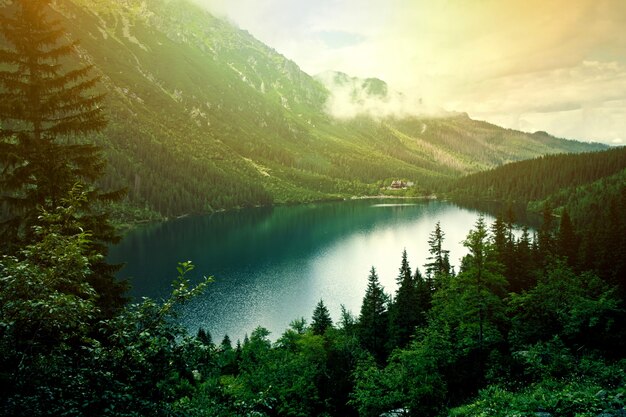 Lake in mountains.