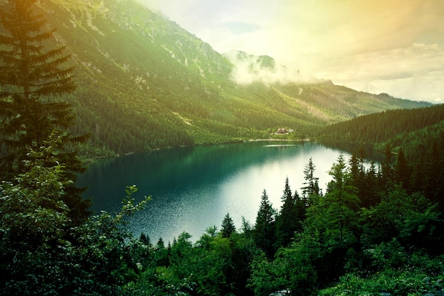 Lake in mountains.