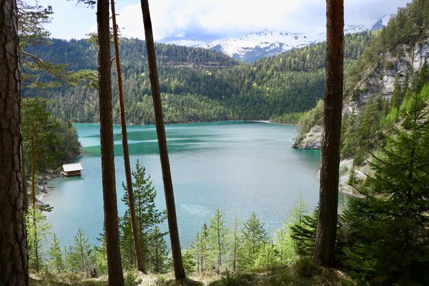 Lake in the nature