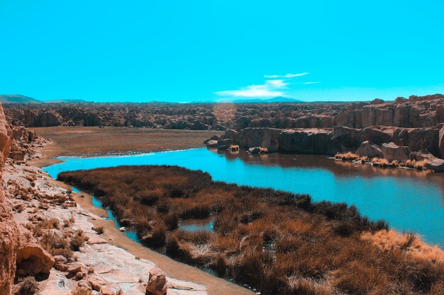 Lake in the nature