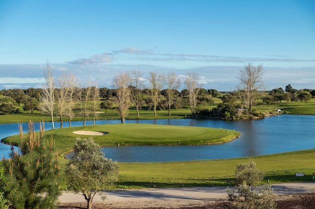 Lake surrounded by greenery under a blue sky and sunlight at daytime