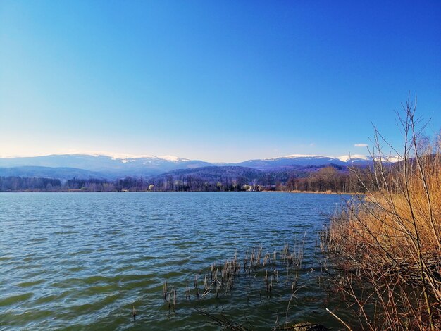 ポーランドの太陽と青い空の下で丘と草に囲まれた湖