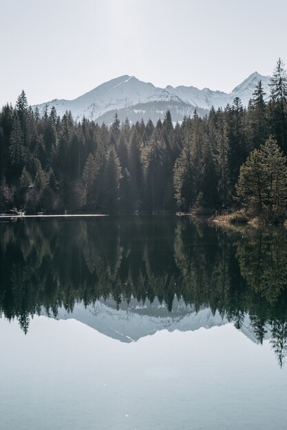 Lake surrounded by mountains and forests with trees reflecting on the water