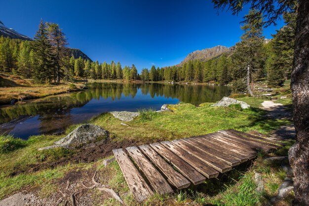 Lake surrounded by rocks and a forest with trees reflecting on the water under a blue sky in Italy