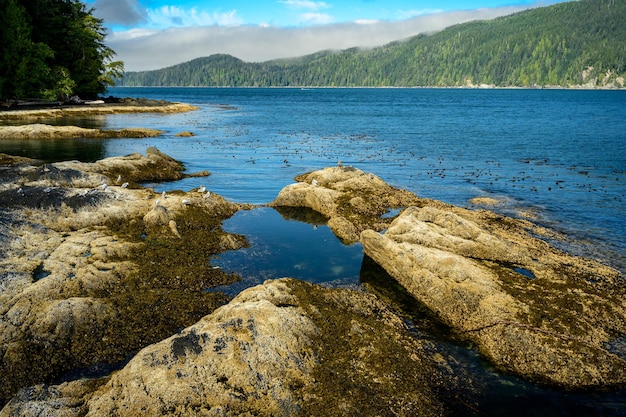 캐나다 밴쿠버 섬의 Port Renfrew에 있는 바위와 숲으로 둘러싸인 호수