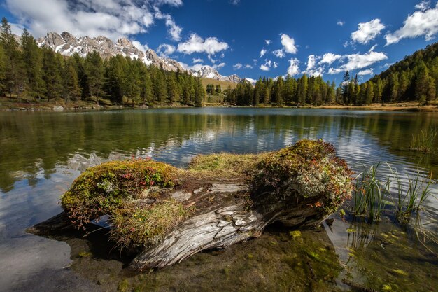 イタリアの日光の下で水に反射する木々と岩や森に囲まれた湖