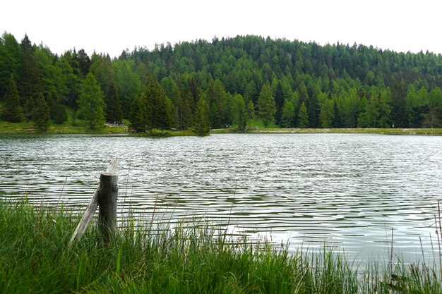 Lake Tret surrounded by mountains covered in forests in Trentino, Italy