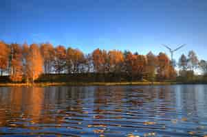 Foto gratuita lago con foglie secche