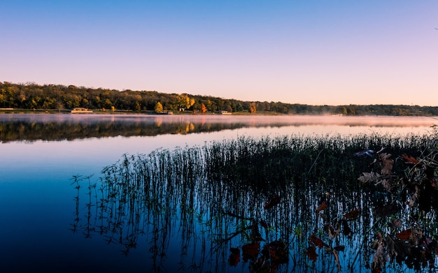 lake with grass reflecting on the water surrounded by forests covered in the fog during sunset