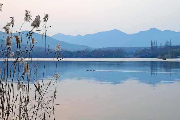 Free photo lake with mountains background