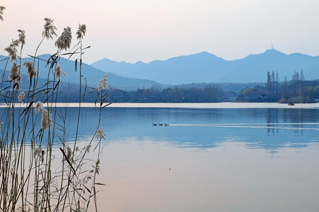 산 배경으로 호수