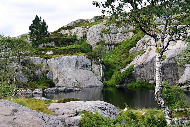 A lake with the reflection of trees surrounded by rock formations in Preikestolen, Norway