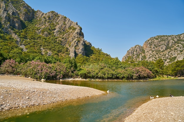 Lake with trees on the other shore