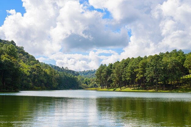 Lake with trees at the sides