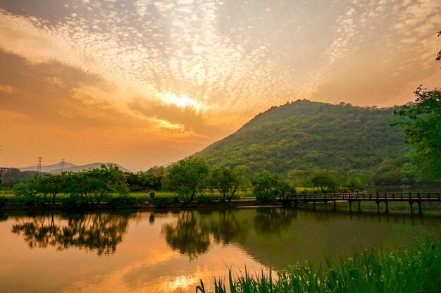 Lake with trees