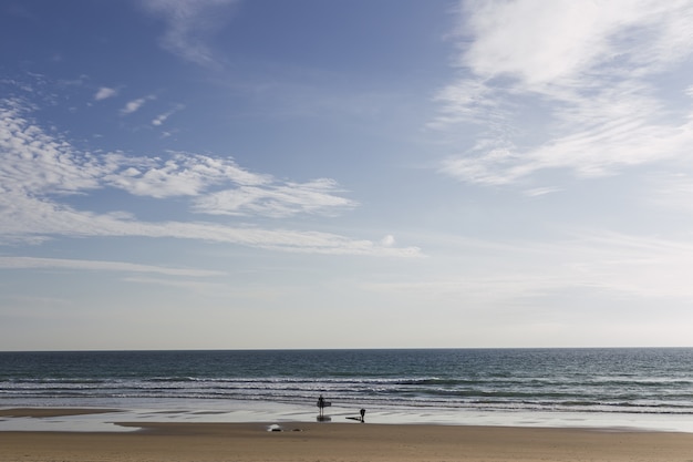 Пейзаж пляжа с серферами на нем в окружении моря под солнечным светом в дневное время