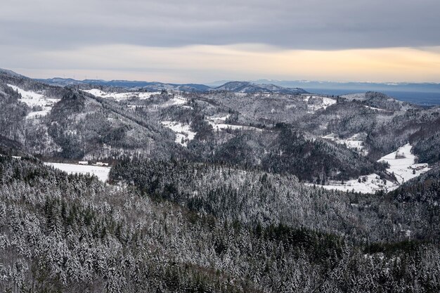 ドイツの日の出の間に雪に覆われた黒い森の山々の風景