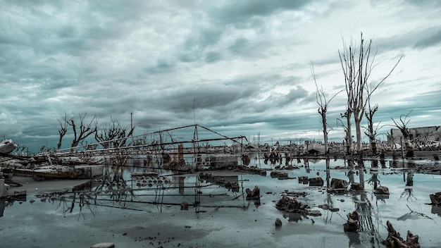 Paesaggio di rovine di edifici e alberi spogli nell'acqua sotto un cielo nuvoloso in una giornata uggiosa