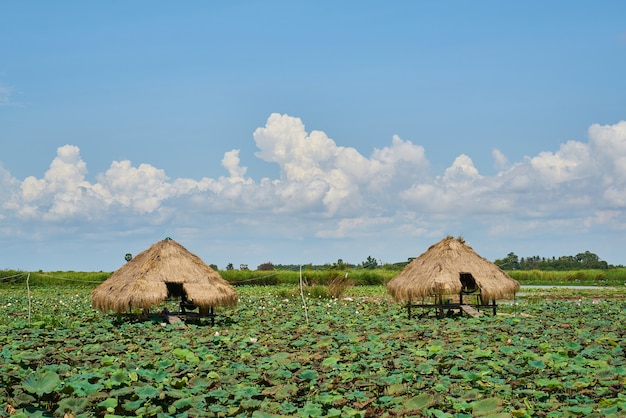 Landscape in Cambodia