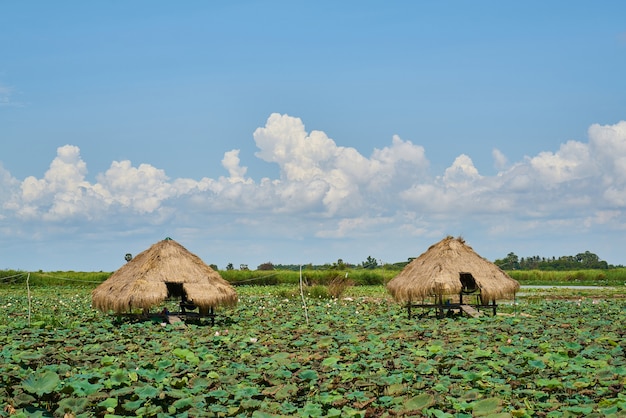 Free photo landscape in cambodia