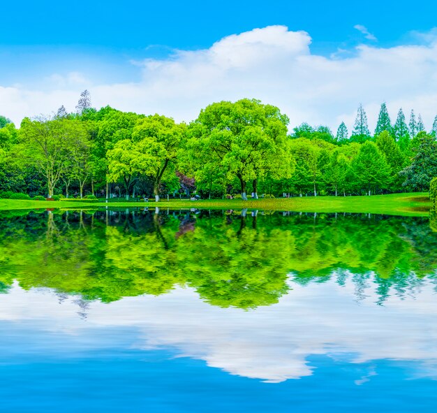 landscape decoration nature reflection mountains lawn