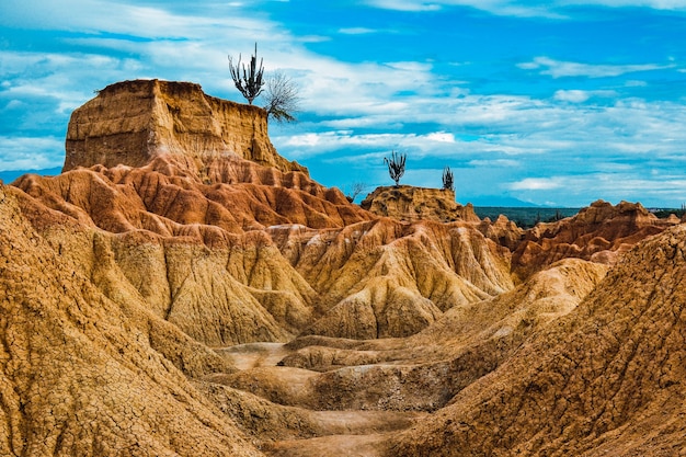 Free photo landscape of a desert