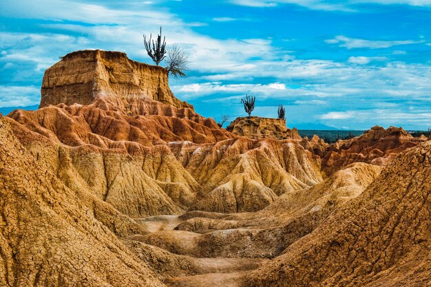 Landscape of a desert