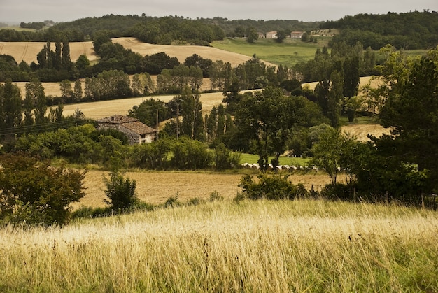 프랑스 Tarn et Garonne의 배경에 언덕이있는 녹지로 덮인 들판의 풍경