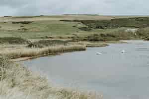 Free photo landscape of a grassland by the water