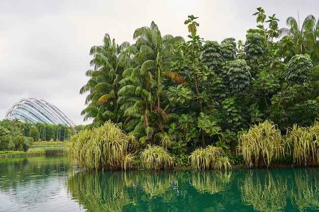 Foto gratuita paesaggio verde parco sfondi di vita