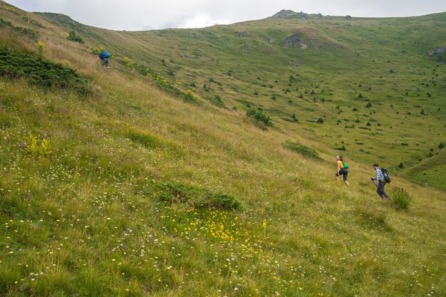 Landscape of a hill covered in greenery with hikers climbing it under a cloudy sky