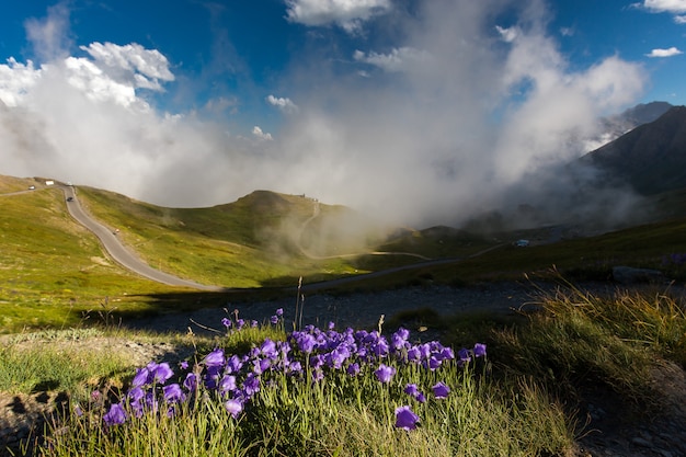 Landscape of hills covered in the grass and flowers under a cloudy sky and sunlight