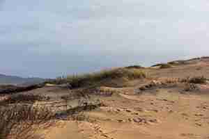 Free photo landscape of hills covered in the grass and sand under the sunlight and a cloudy sky