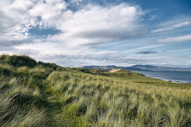 Free photo landscape of hills covered in the grass surrounded by the rossbeigh strand and the sea in ireland