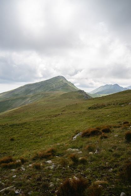 Landscape of hills covered in grass and trees under a cloudy sky and sunlight during daytime