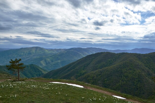 Landscape of hills covered in greenery under the cloudy sky at daytime