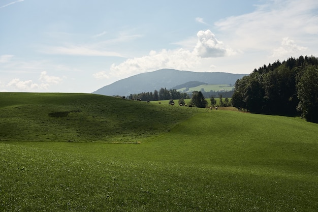 田舎の曇り空と陽光の下で緑に覆われた丘の風景