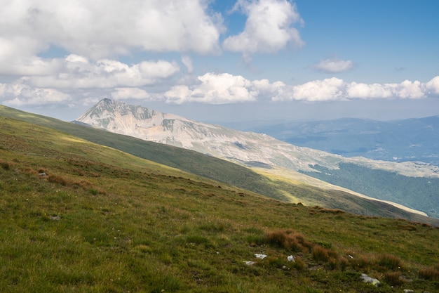 Пейзаж холмов, покрытых зеленью, с горами под пасмурным небом