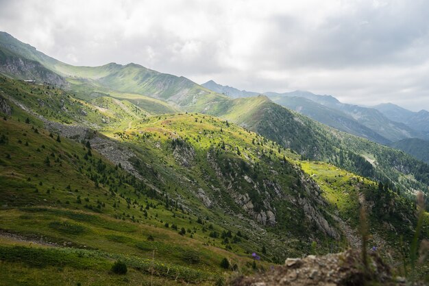 背景の曇り空の下でロッキー山脈と緑に覆われた丘の風景
