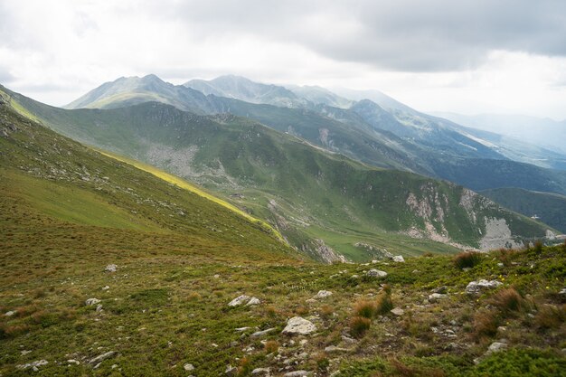 Пейзаж холмов, покрытых зеленью, со скалистыми горами