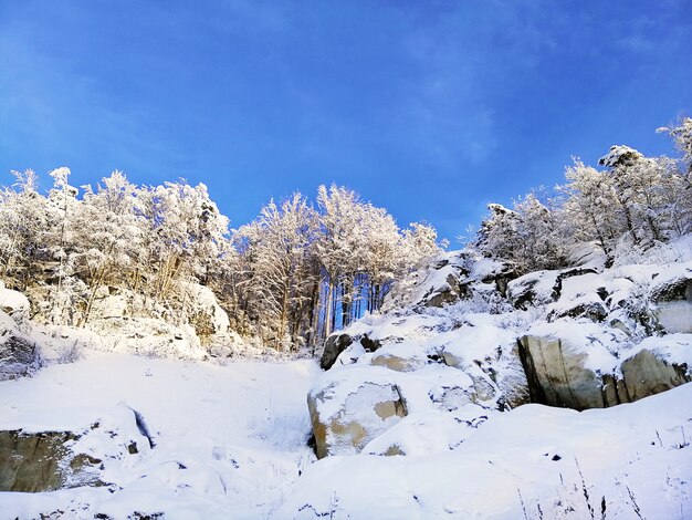 Landscape of hills covered in trees and snow under the sunlight and a blue sky in Larvik in Norway