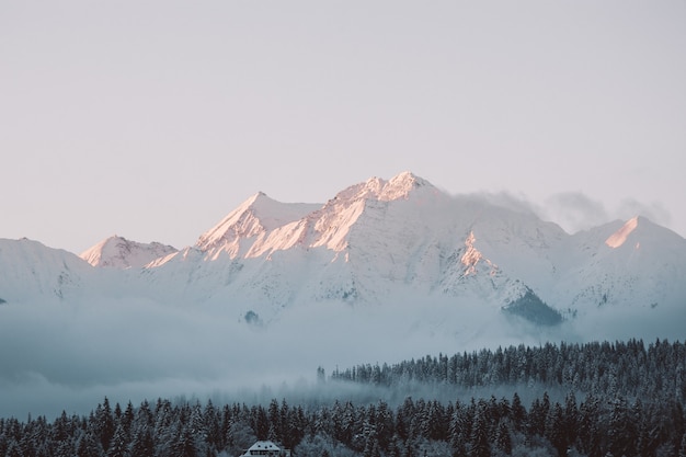 Landscape of hills and forests covered in the snow under the sunlight and a cloudy sky