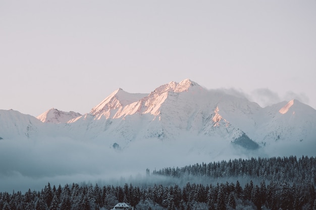 日光と曇り空の下で雪に覆われた丘と森の風景