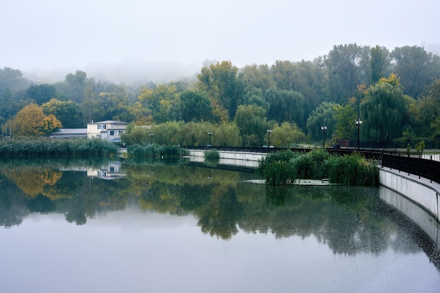 Foto gratuita il paesaggio di un lago nel parco