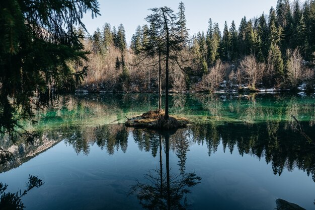 日光の下で水に反射する木々と森に囲まれた湖の風景