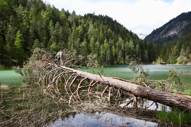 Paesaggio di un lago