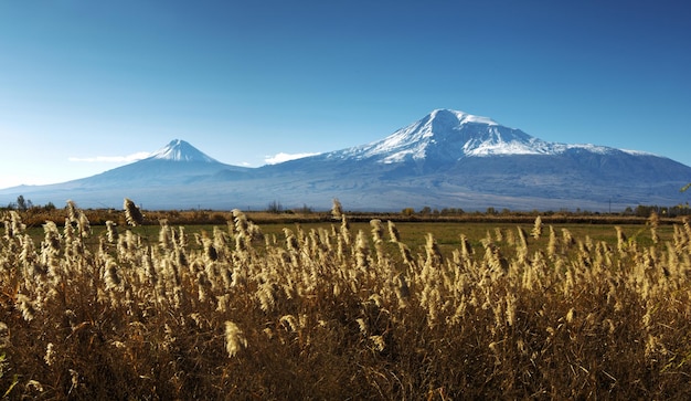 トルコのアララト山の風景日光と青い空の下