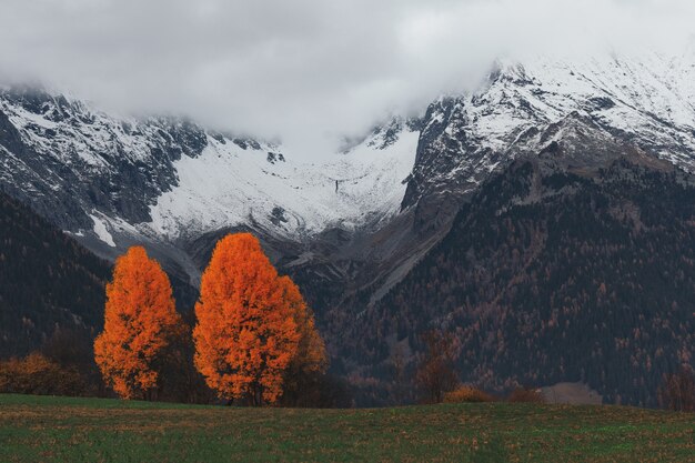 山の風景