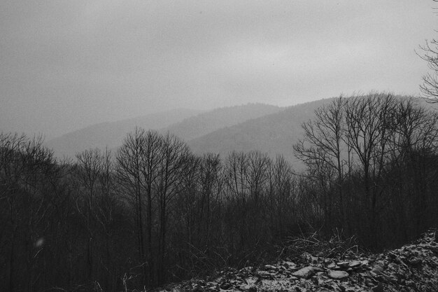 Landscape of mountains in black and white